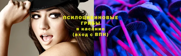 ECSTASY Беломорск