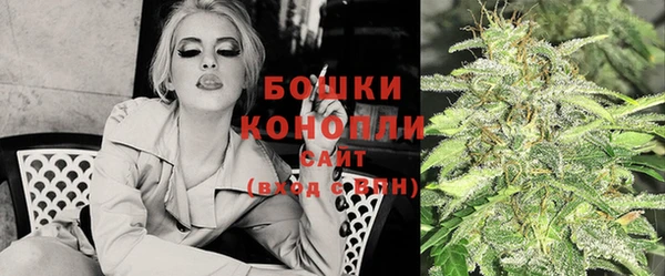 mdpv Белокуриха