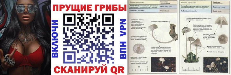 Галлюциногенные грибы ЛСД Светлогорск