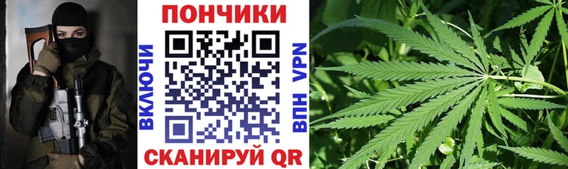 где купить наркоту  Светлогорск  Бошки марихуана Ganja 